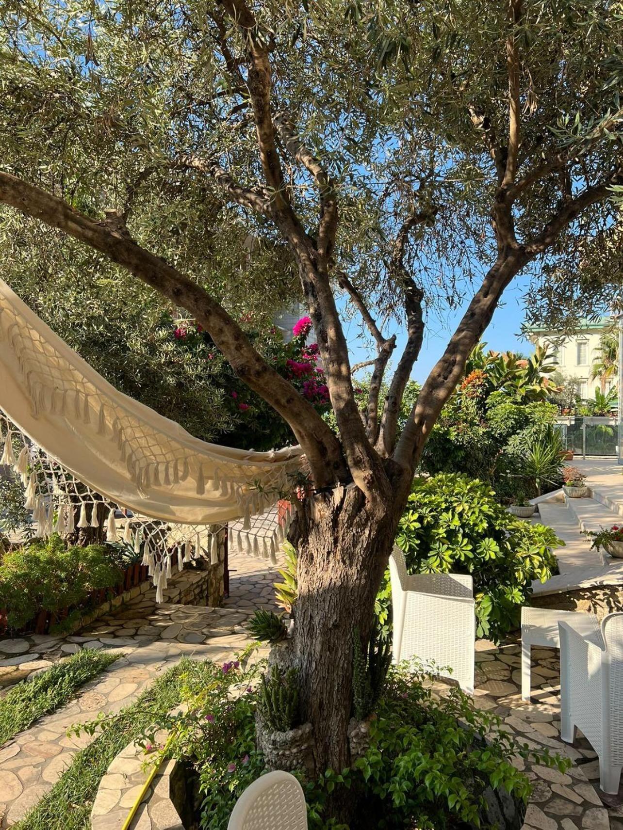 Hotel Orange Dhërmi Zewnętrze zdjęcie